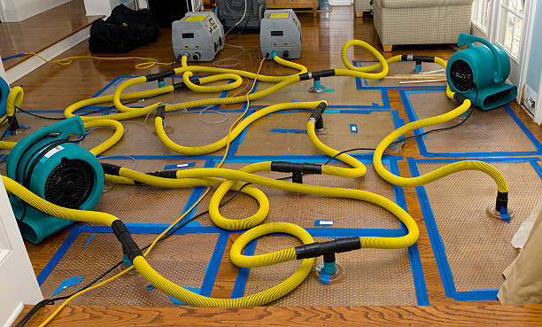 Professional Basement Flood Cleanup technician working in Bidwell, OH