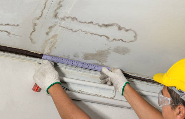 Affordable Basement Flood Cleanup solutions in Bidwell, OH